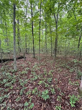 0.27 Acres of Residential Land for Sale in Crossville, Tennessee
