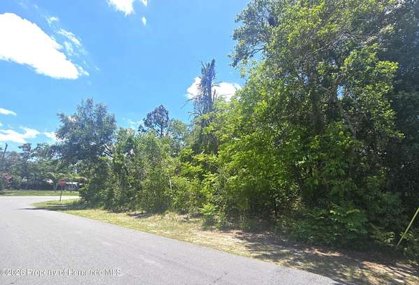 0.3 Acres of Residential Land for Sale in Spring Hill, Florida