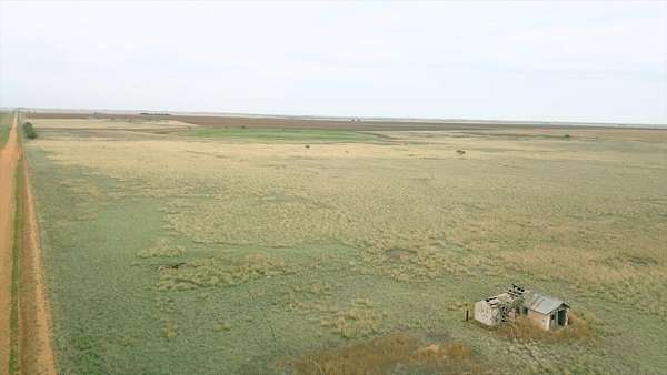 80 Acres of Recreational & Residential Land for Sale in Hale Center, Texas