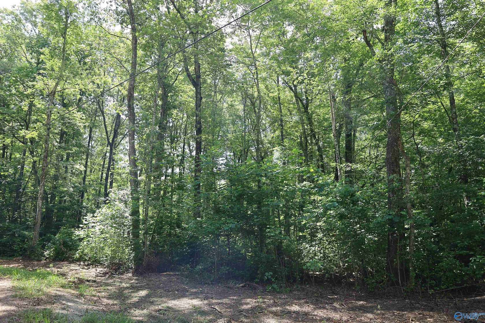 1.47 Acres of Residential Land for Sale in Mentone, Alabama