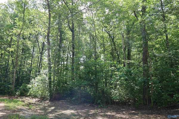 1.47 Acres of Residential Land for Sale in Mentone, Alabama