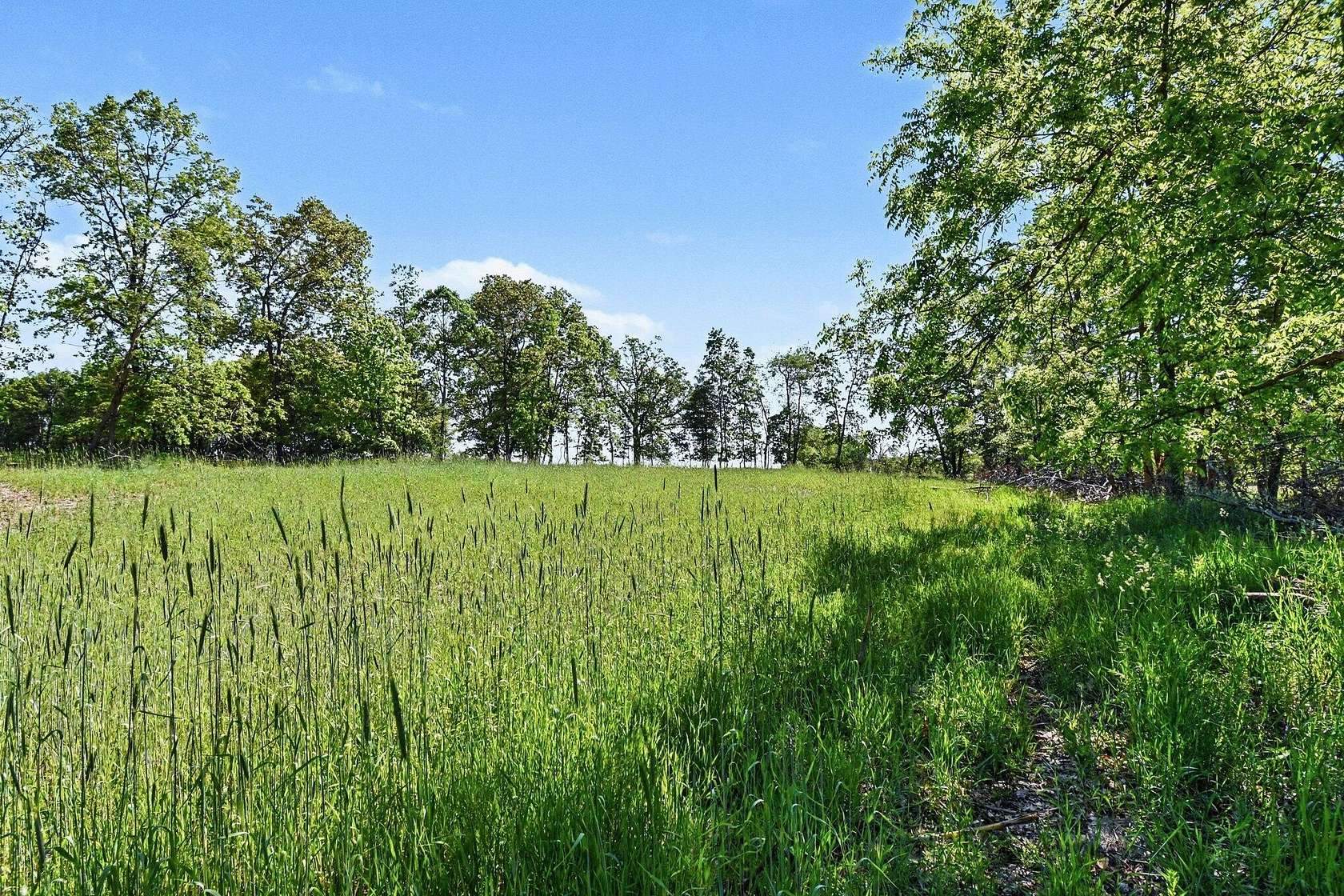 38.5 Acres of Land for Sale in Ionia, Michigan