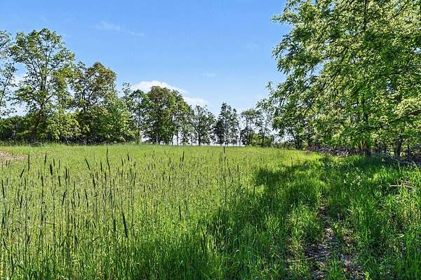 38.5 Acres of Land for Sale in Ionia, Michigan
