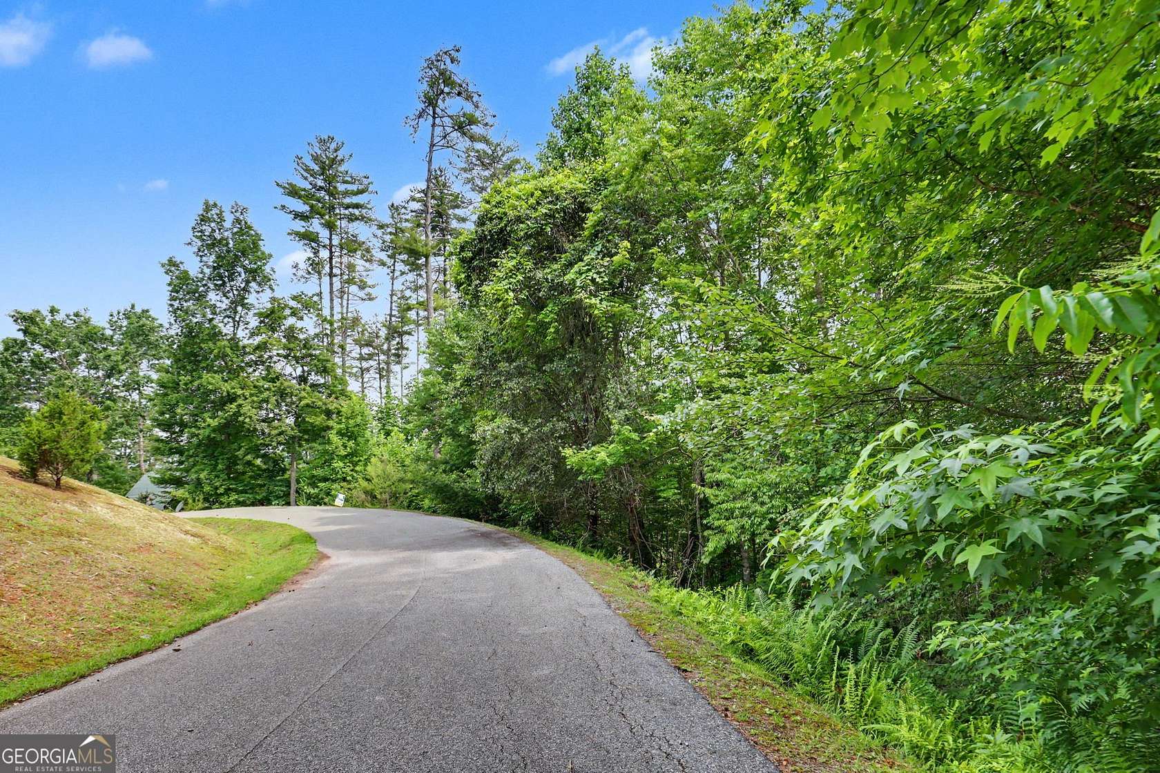 1.65 Acres of Residential Land for Sale in Mineral Bluff, Georgia
