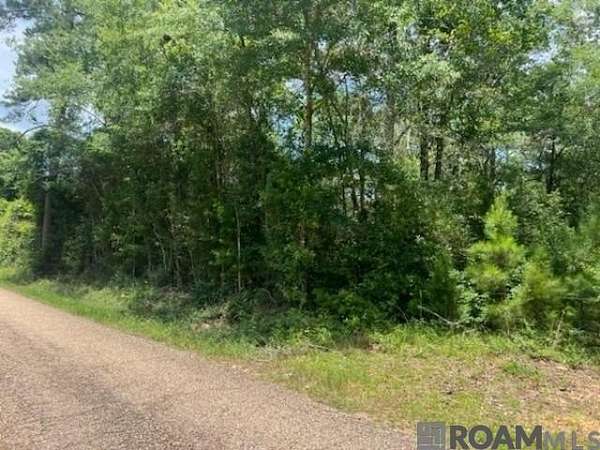 1.44 Acres of Land for Sale in Franklinton, Louisiana