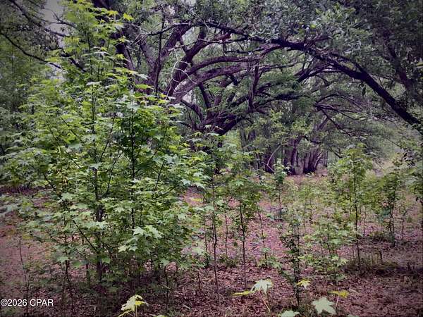 10 Acres of Recreational Land for Sale in Sneads, Florida