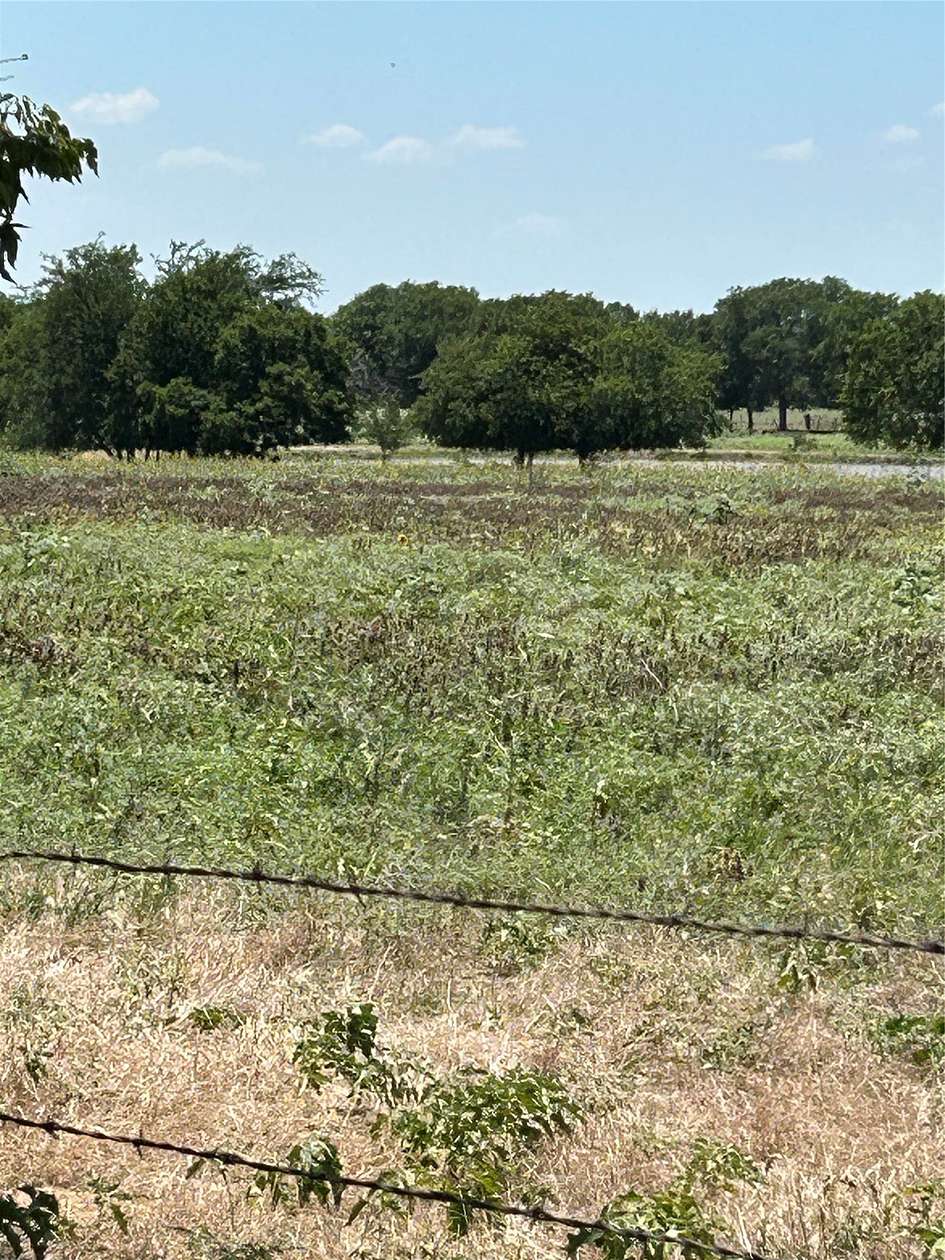 100 Acres of Agricultural Land for Sale in Tioga, Texas