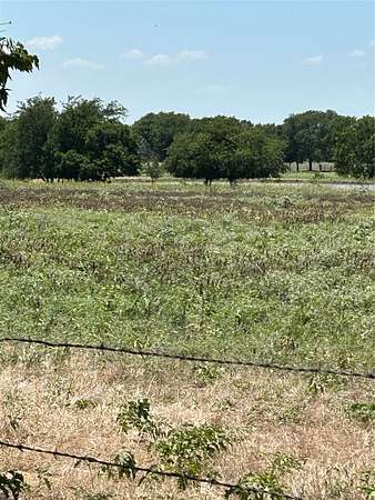 100 Acres of Agricultural Land for Sale in Tioga, Texas