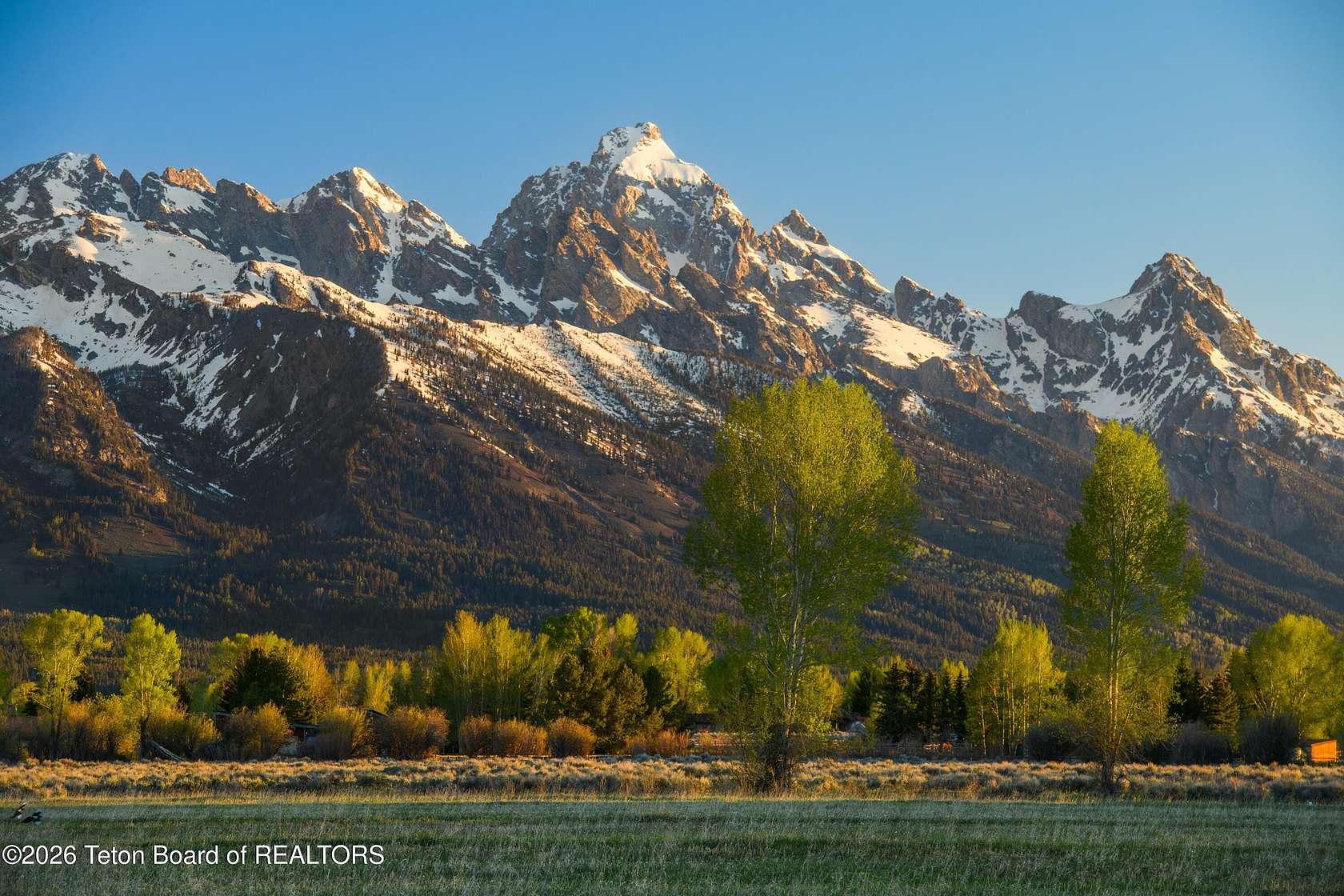 1.5 Acres of Residential Land for Sale in Jackson, Wyoming