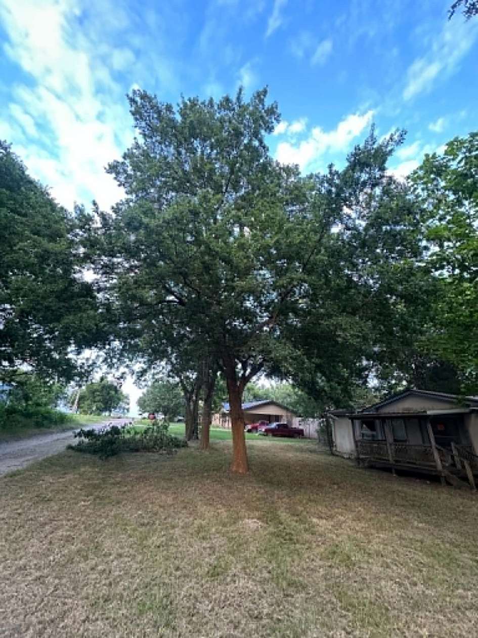 0.34 Acres of Residential Land for Sale in Celeste, Texas