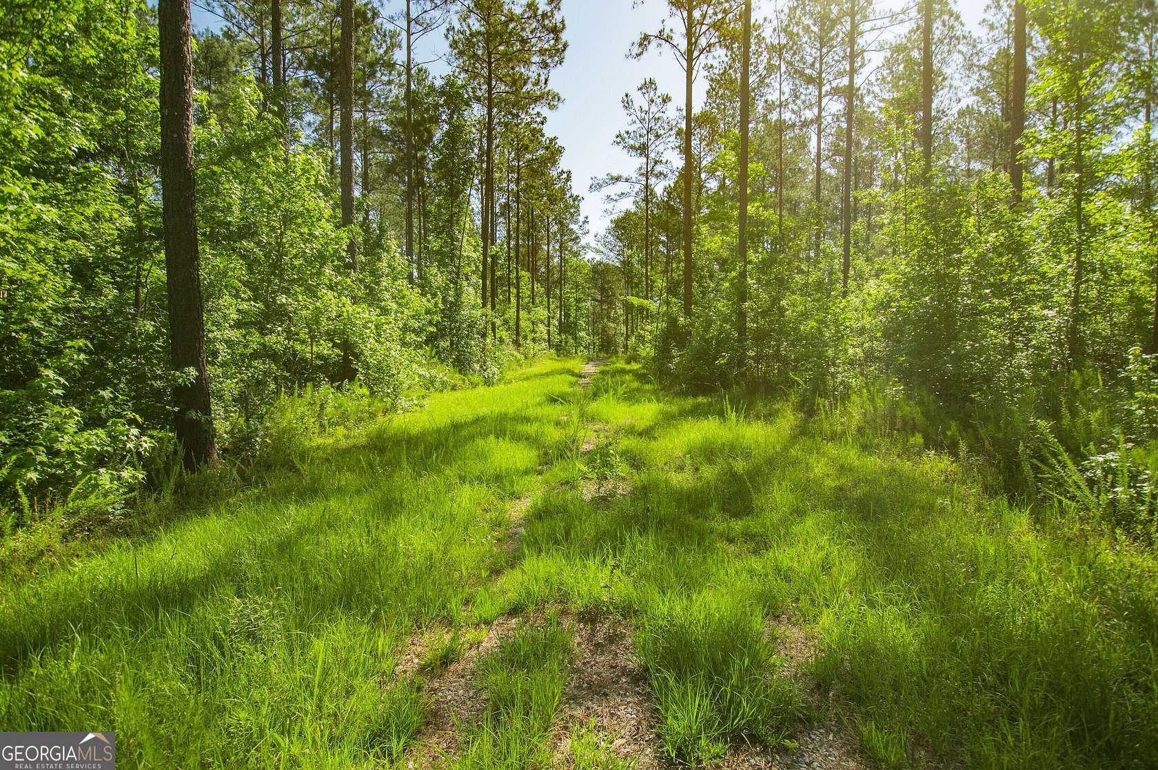 24.6 Acres of Recreational & Residential Land for Sale in Rutledge, Georgia