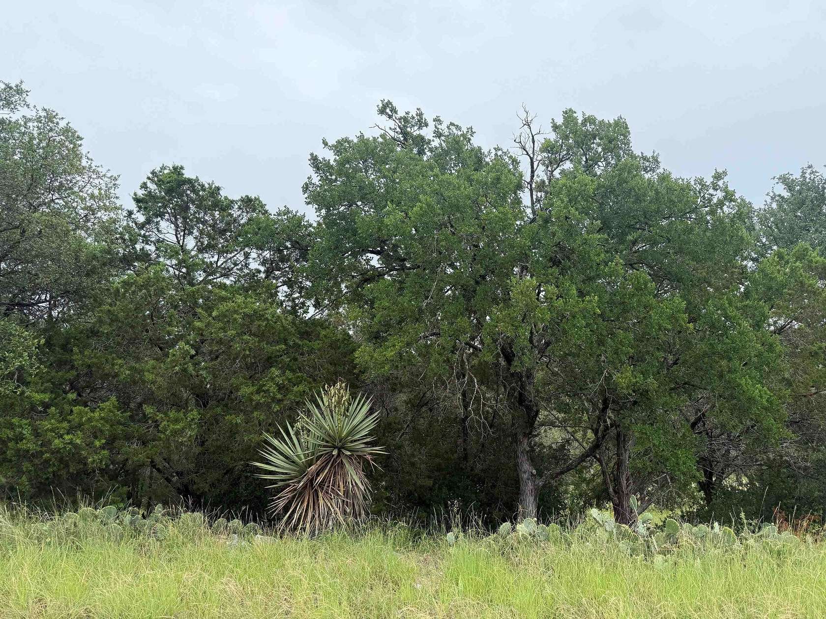 0.29 Acres of Residential Land for Sale in Horseshoe Bay, Texas