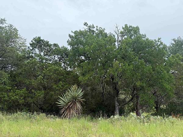 0.29 Acres of Residential Land for Sale in Horseshoe Bay, Texas