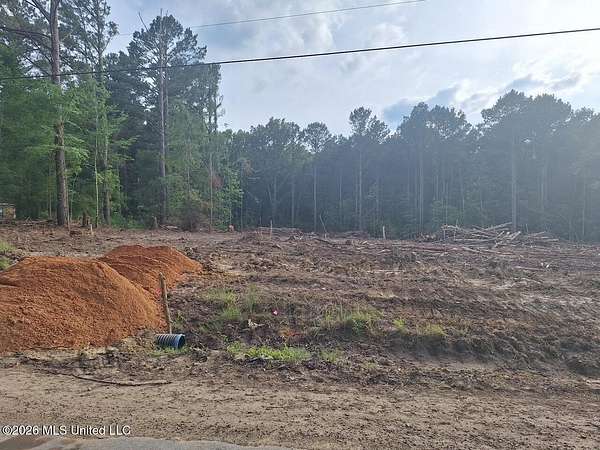 2 Acres of Land for Sale in Braxton, Mississippi