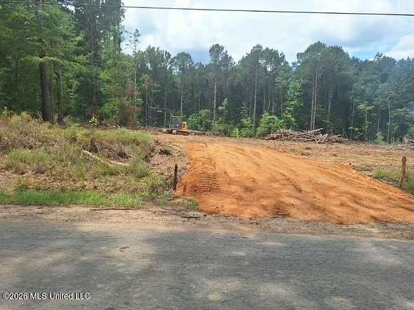 2 Acres of Land for Sale in Braxton, Mississippi