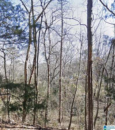 0.35 Acres of Residential Land for Sale in Anniston, Alabama