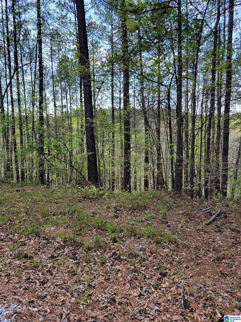 0.64 Acres of Residential Land for Sale in Wedowee, Alabama