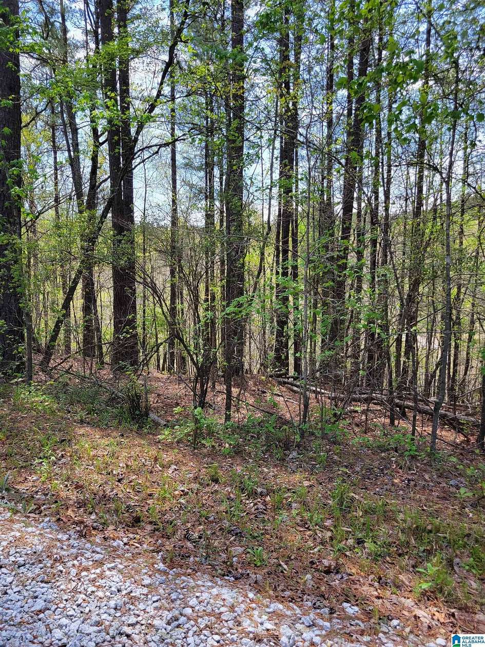 0.5 Acres of Land for Sale in Wedowee, Alabama