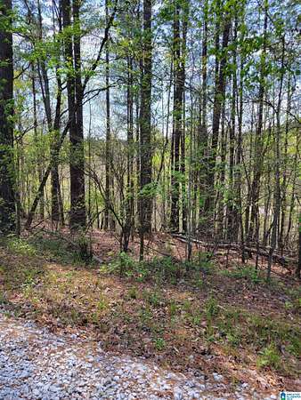 0.5 Acres of Land for Sale in Wedowee, Alabama