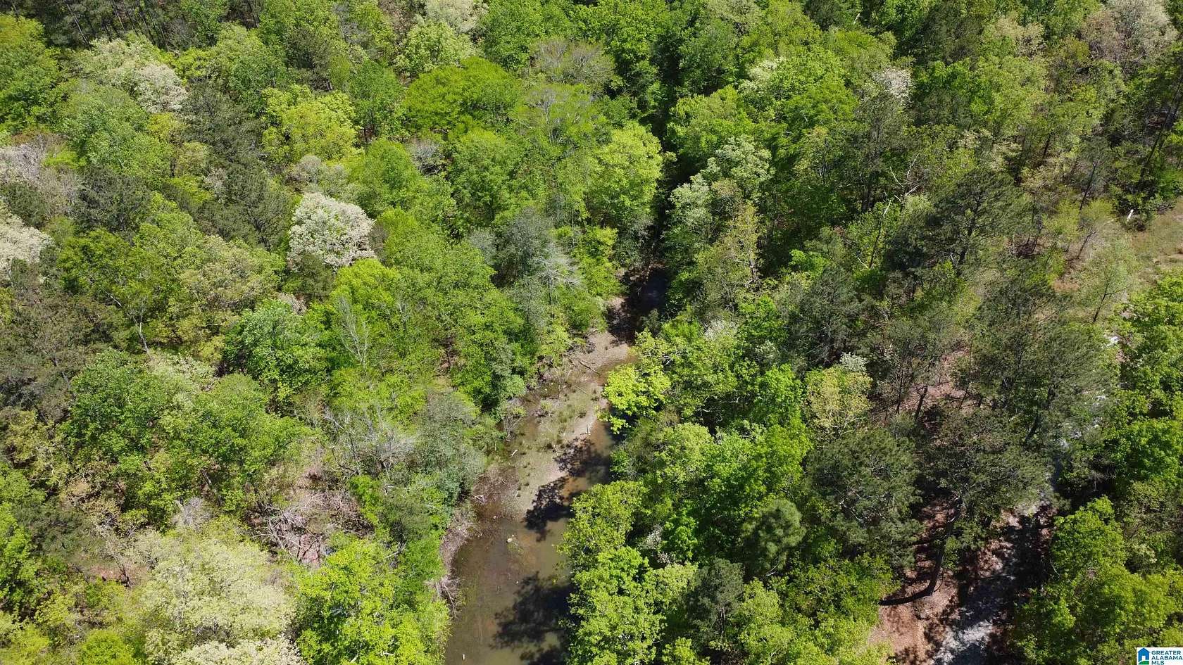 2 Acres of Land for Sale in Wedowee, Alabama