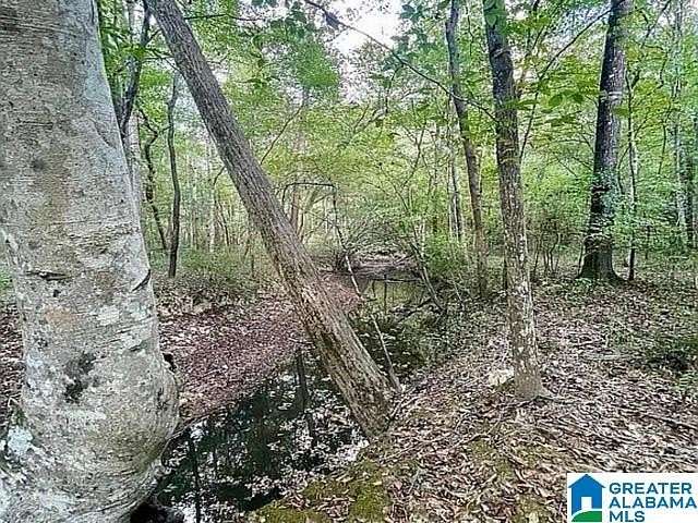 11.9 Acres of Land for Sale in Columbiana, Alabama