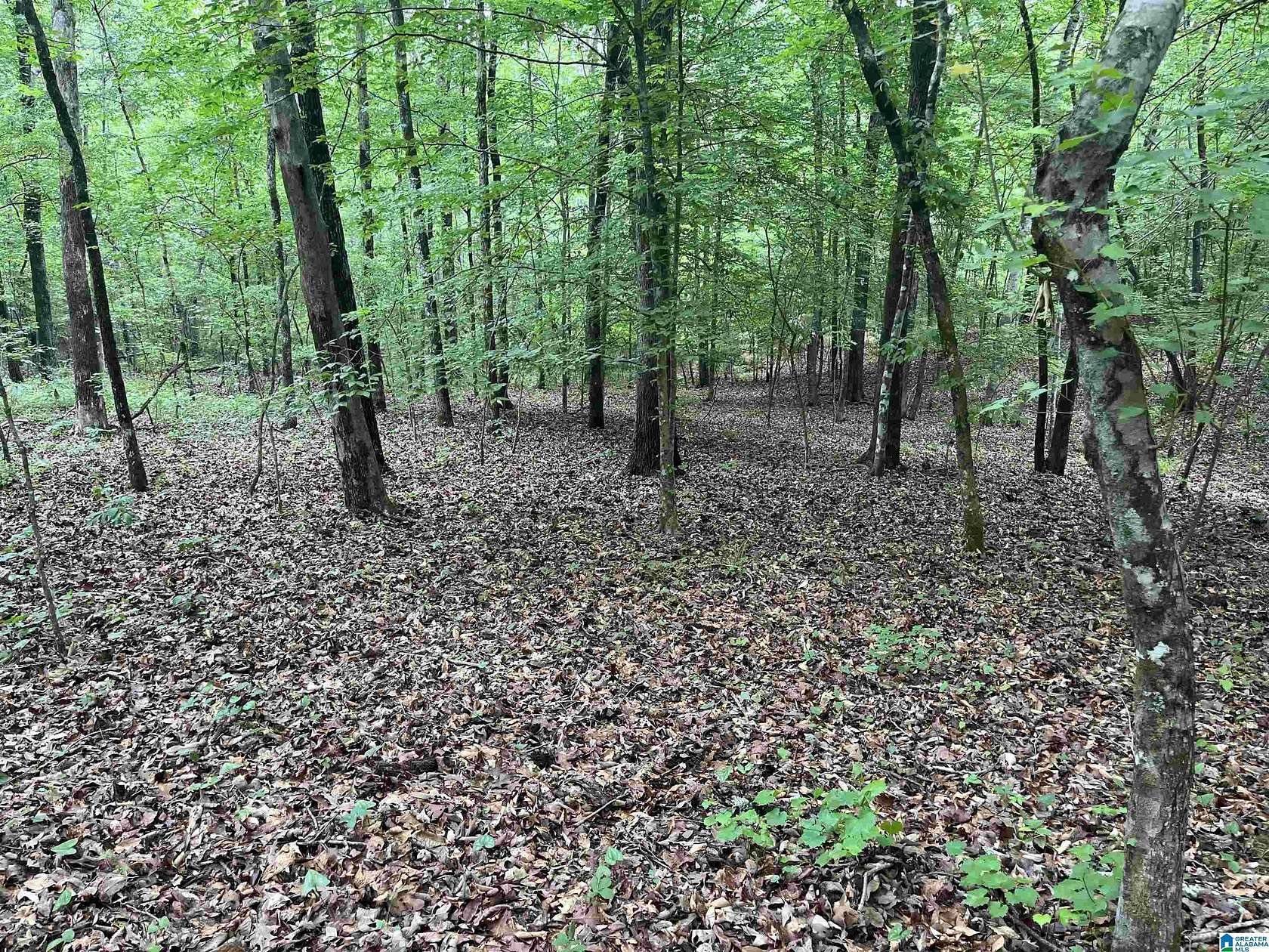 6.4 Acres of Residential Land for Sale in Tallassee, Alabama