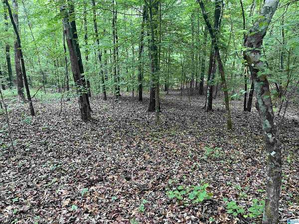 6.4 Acres of Residential Land for Sale in Tallassee, Alabama