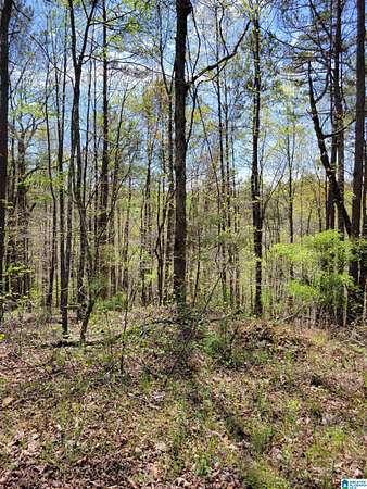 0.97 Acres of Land for Sale in Wedowee, Alabama