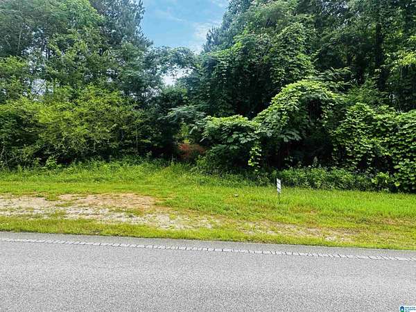 28 Acres of Recreational & Residential Land for Sale in Lineville, Alabama