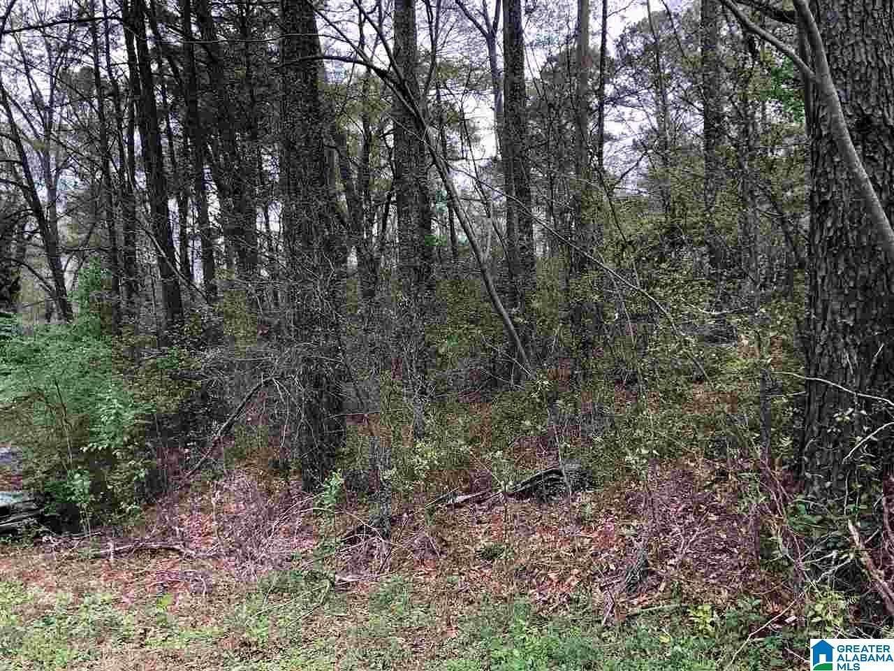 3.42 Acres of Residential Land for Sale in Hoover, Alabama