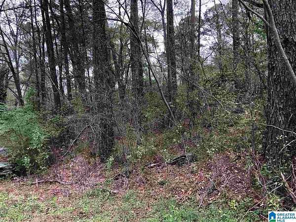 3.42 Acres of Residential Land for Sale in Hoover, Alabama