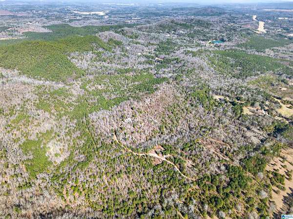 146 Acres of Recreational & Residential Land for Sale in Talladega, Alabama