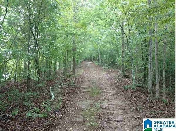 1.1 Acres of Residential Land for Sale in Wedowee, Alabama