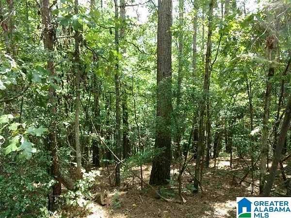 1.23 Acres of Land for Sale in Wedowee, Alabama