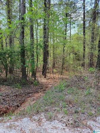 1.46 Acres of Land for Sale in Wedowee, Alabama