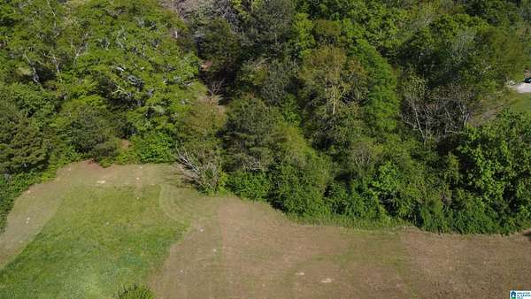 0.87 Acres of Residential Land for Sale in Wedowee, Alabama