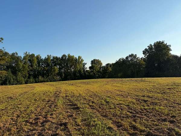 11 Acres of Land for Sale in Williston, Tennessee