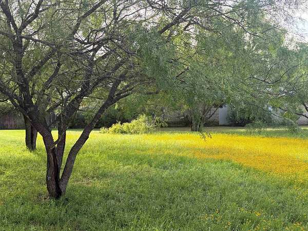 0.11 Acres of Residential Land for Sale in Horseshoe Bay, Texas