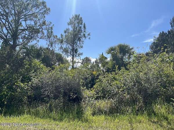 0.23 Acres of Land for Sale in Palm Bay, Florida