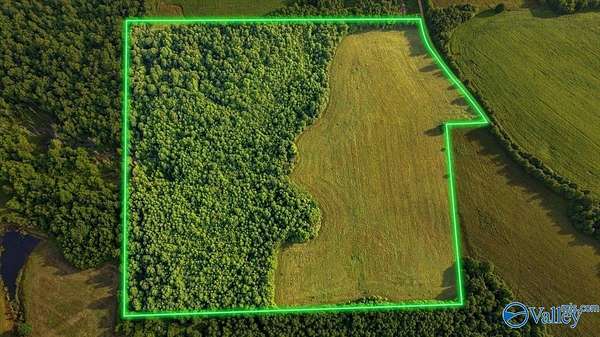 40.8 Acres of Recreational & Residential Land for Sale in Henagar, Alabama