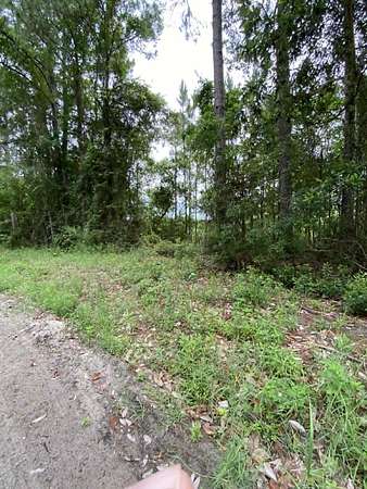 2.13 Acres of Land for Sale in Panacea, Florida