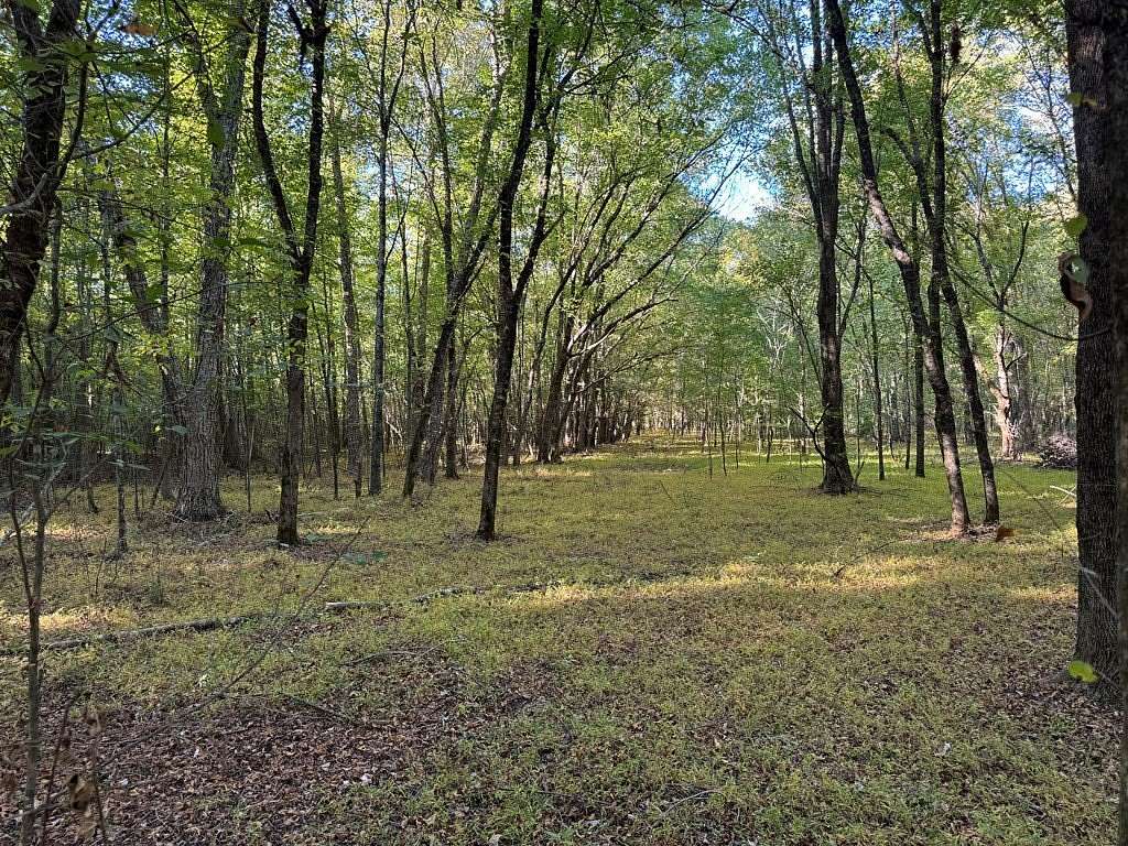 124 Acres of Land for Sale in Oxford, Mississippi