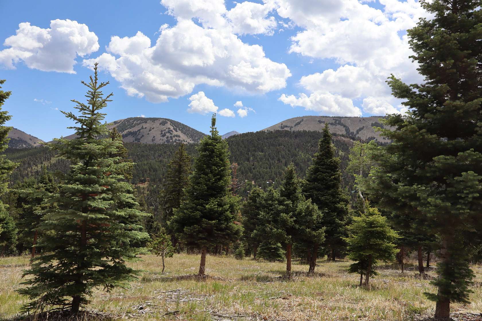 0.66 Acres of Land for Sale in Cuchara, Colorado