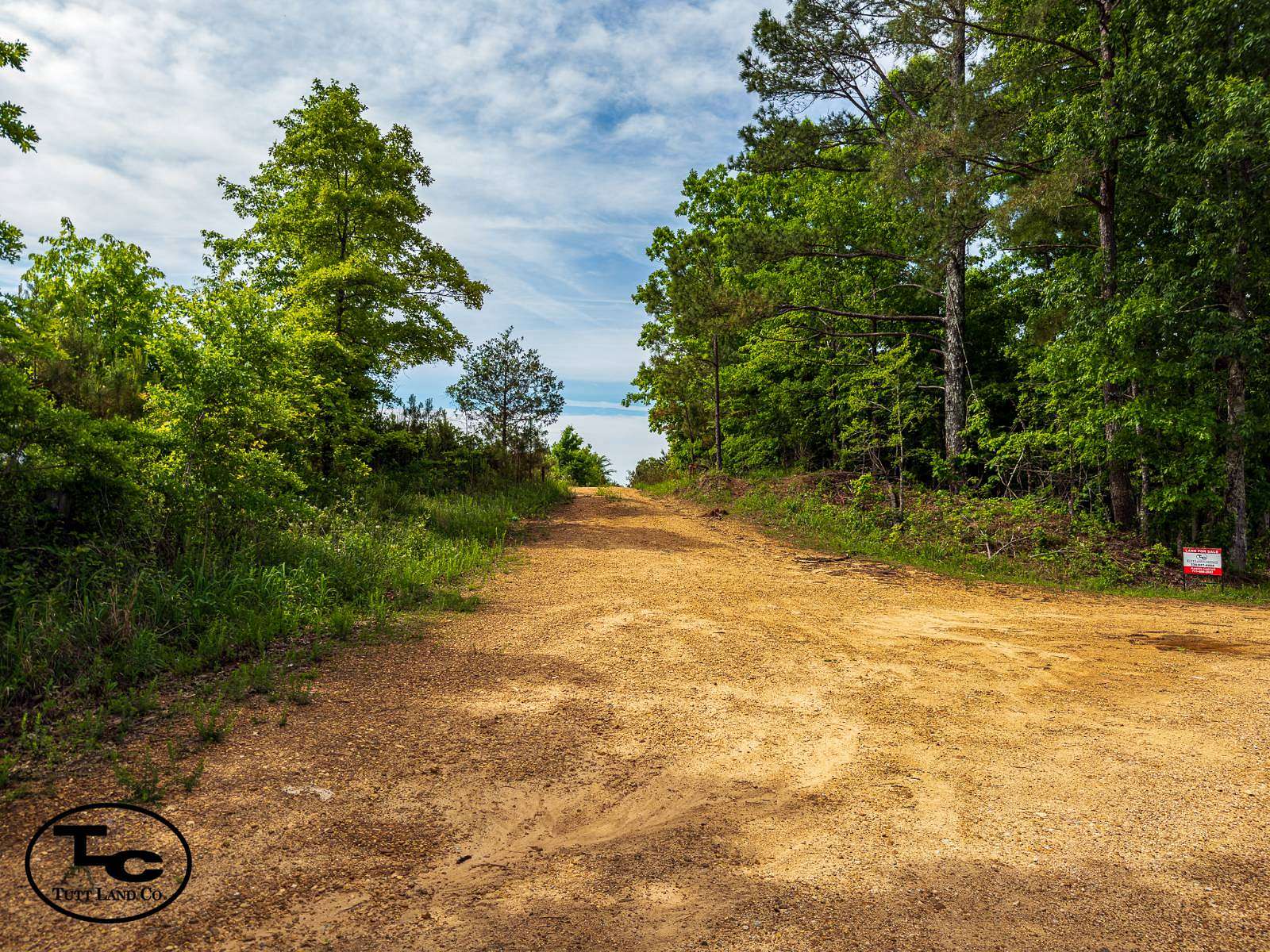 38 Acres of Land for Sale in Henderson, Tennessee