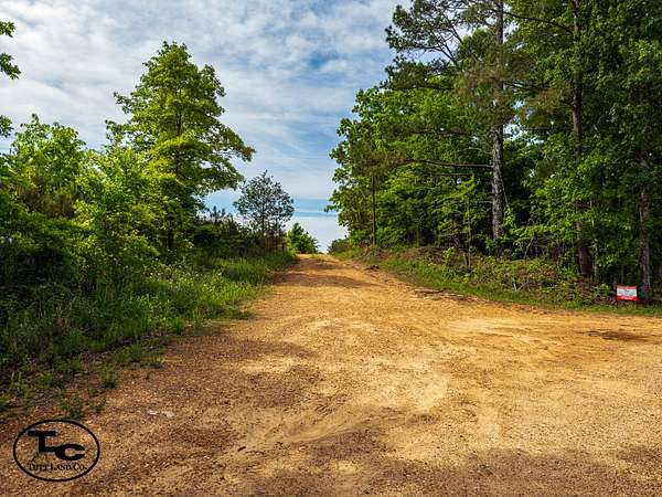 38 Acres of Land for Sale in Henderson, Tennessee