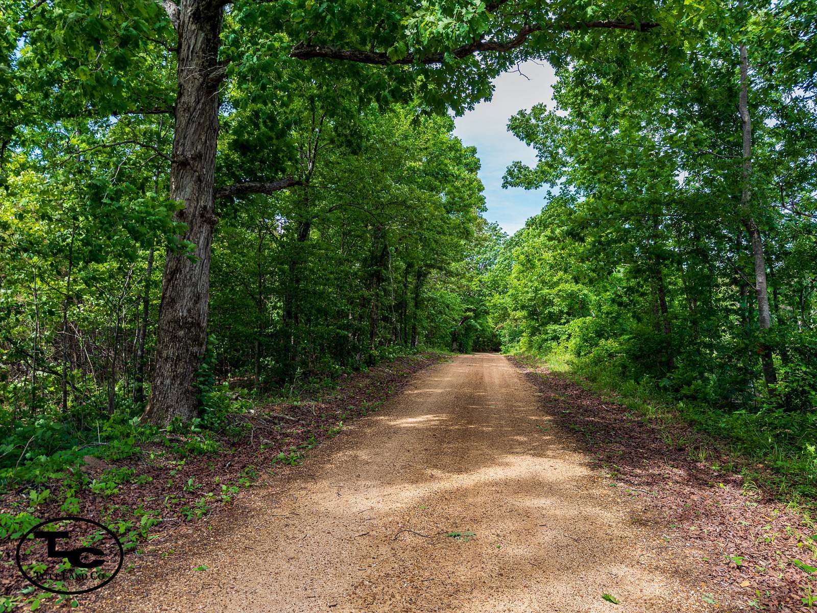 57 Acres of Land for Sale in Henderson, Tennessee