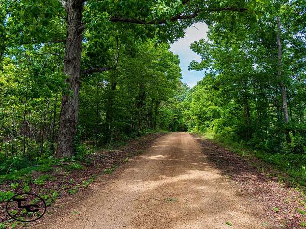 57 Acres of Land for Sale in Henderson, Tennessee