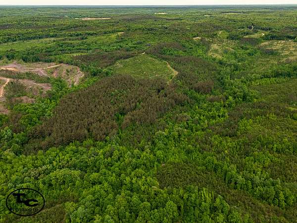 66 Acres of Land for Sale in Henderson, Tennessee