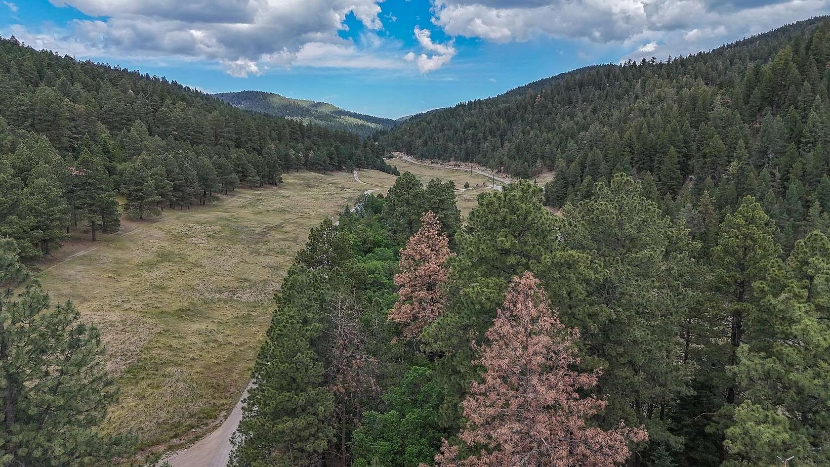 0.28 Acres of Residential Land for Sale in Cloudcroft, New Mexico