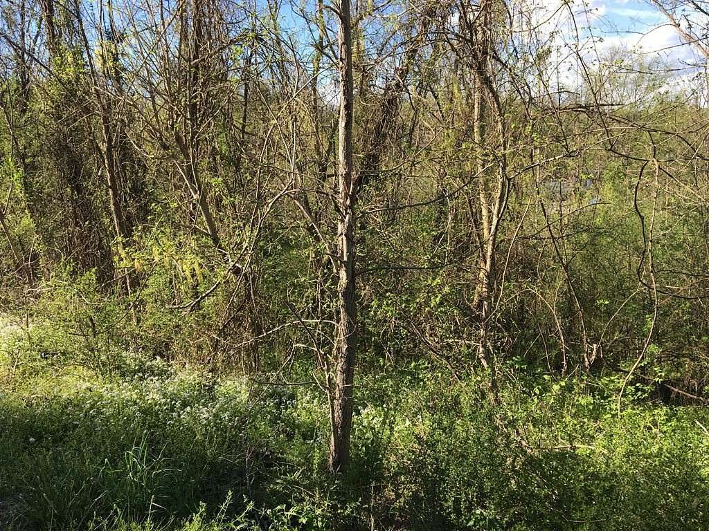 0.25 Acres of Residential Land for Sale in Hartsville, Tennessee